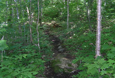 beginning trail Image